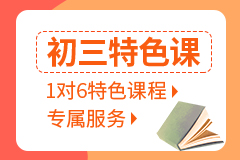 上海致学教育初三1对6特色课