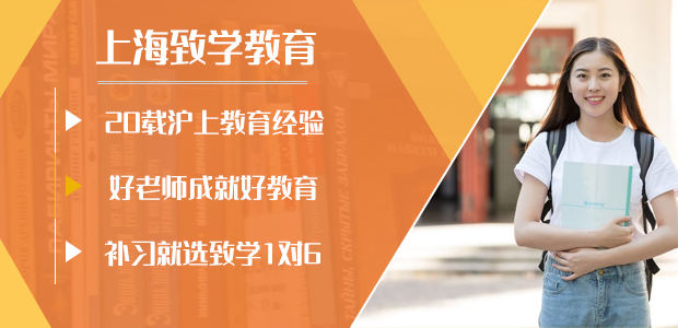上海致学教育机构优势